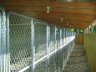outdoor kennels